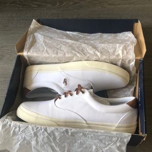 Polo Ralph Lauren
Thorton Canvas Low-Top Sneaker